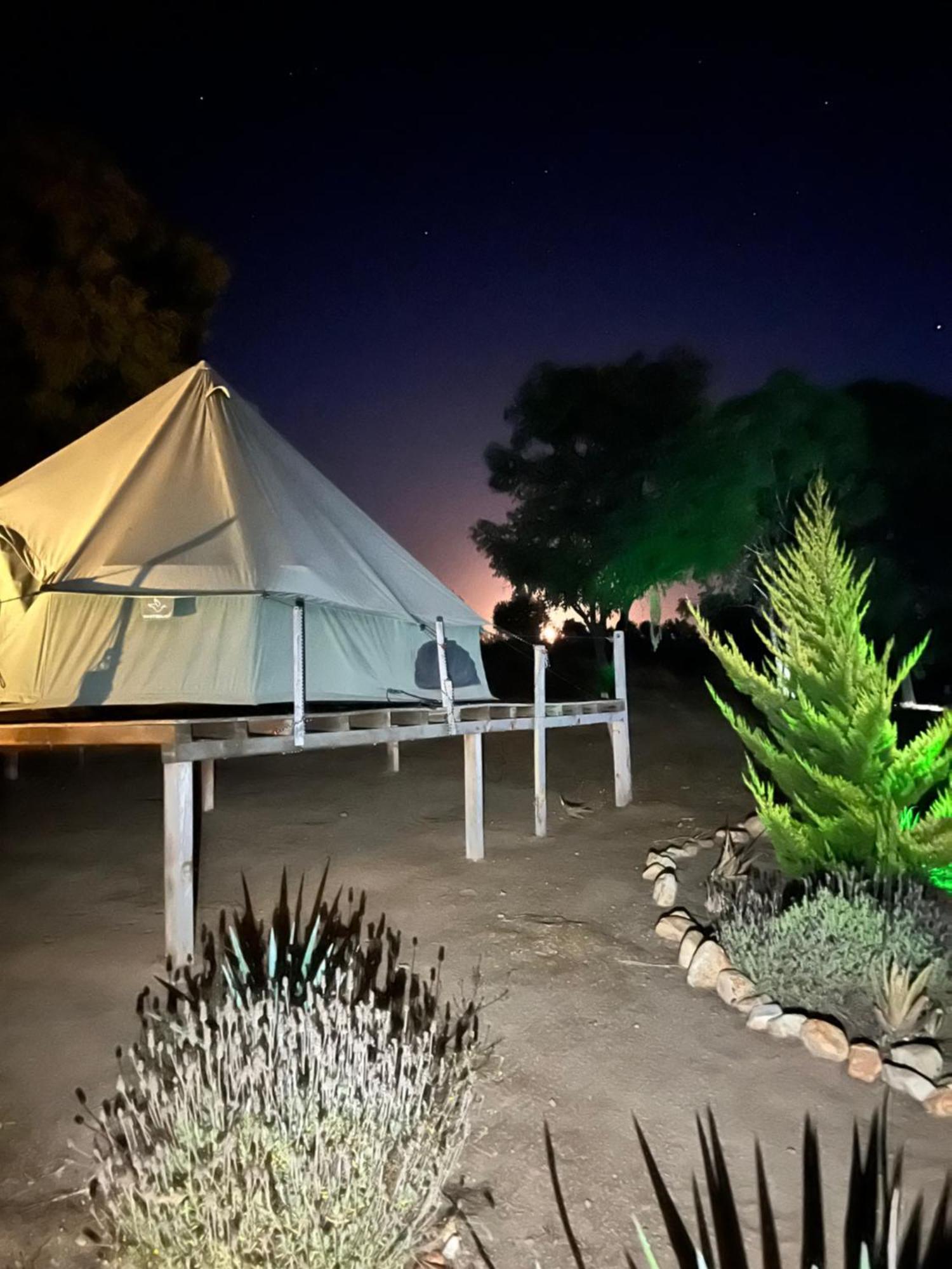 Lago Valle Wine Glamping Валье-де-Гуадалупе Экстерьер фото